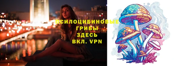 соль ск Балабаново